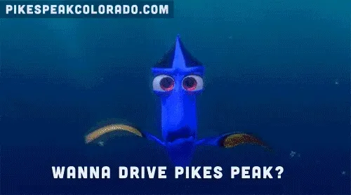 zihai.lens-Collect-442