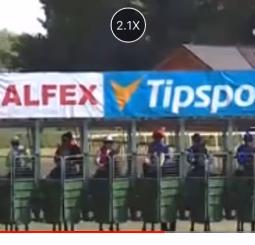 bitc85131.lens-Collect-308