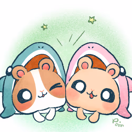 Same Nano Present
