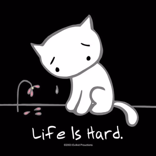 Life is hard