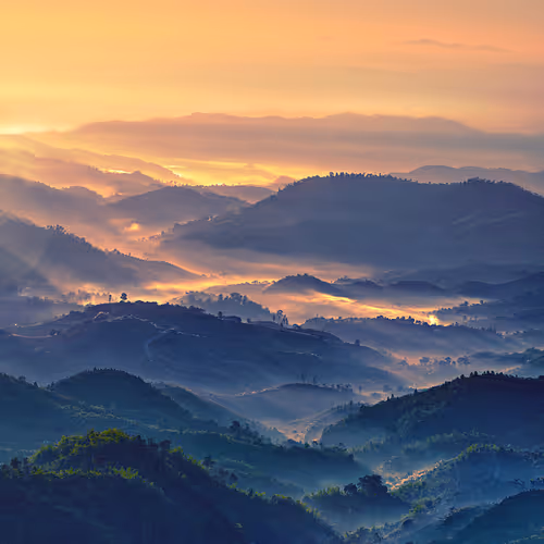 oooo3.lens-Collect-1101