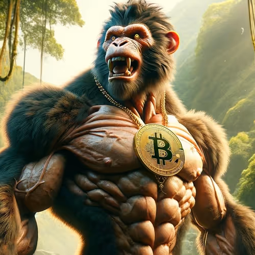 BTC MOONKEY
