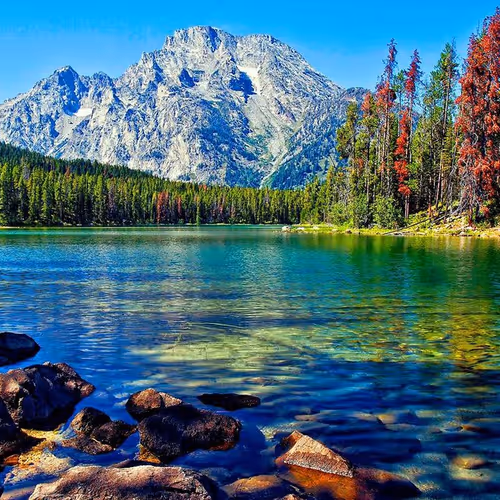 The nature