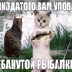 VLAD