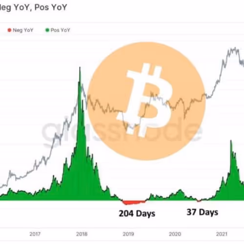 anitaimani.lens-Collect-185