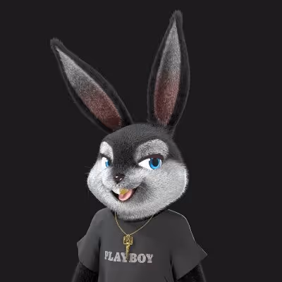 Rabbit - DX6ht2Bru6