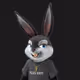 Rabbit - DX6ht2Bru6