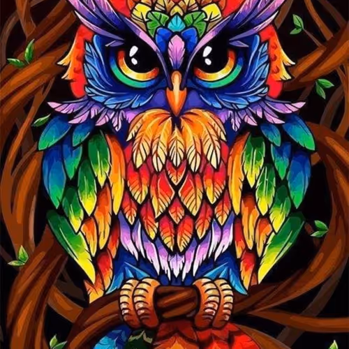 blessencez collection