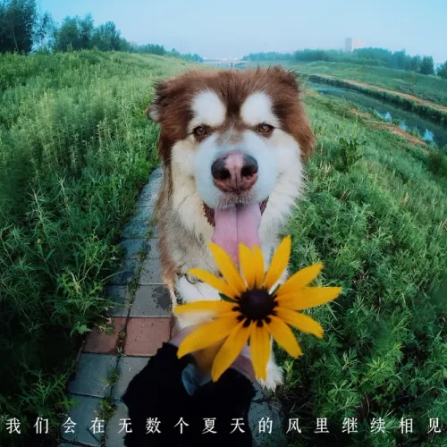 rentongjuan77.lens-Collect-318