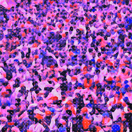 The crowd. The untruth