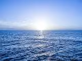 seawho