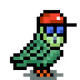 PfP