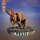 Infinity Realms Pets