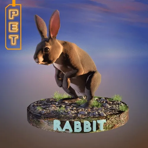 Infinity Realms Pets