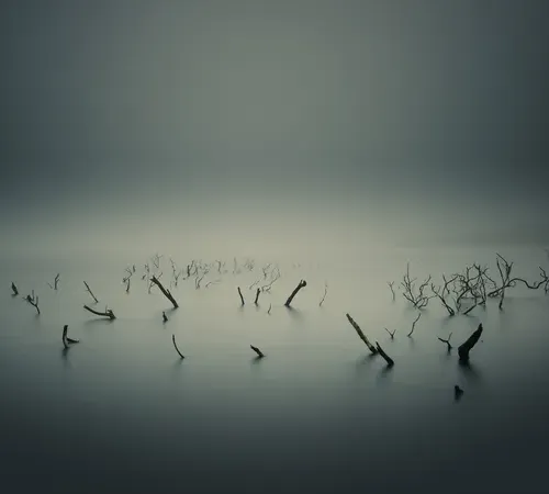 akxakxll.lens-Collect-244