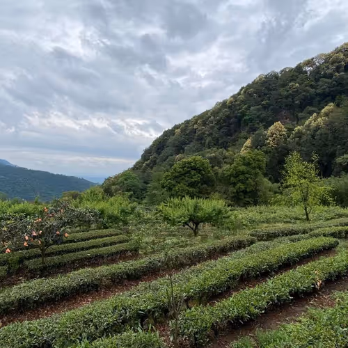 officium.lens-Collect-58