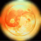 bitsun