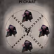 Pi Chart