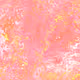 zospours.lens-Collect-4188