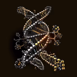 DNA Traveler