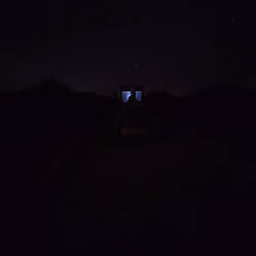 yellowrose.lens-Collect-54