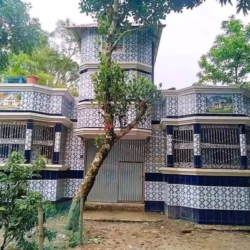 Jubayer Collection