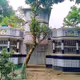 Jubayer Collection