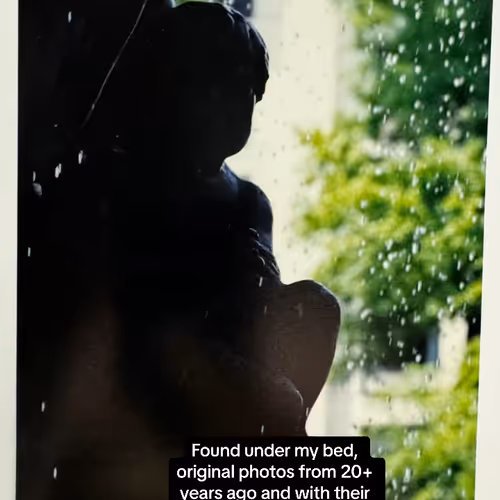 Lens Collect | Profile #107134 - Publication #1583