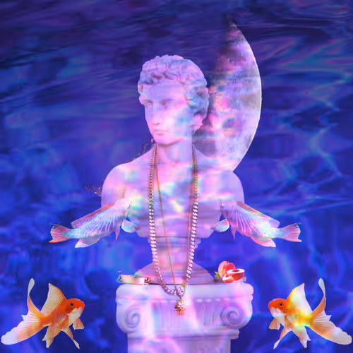 My Collection rScsWctan9YQNyO4ciCK