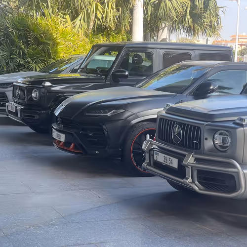 bulkad.lens-Collect-7