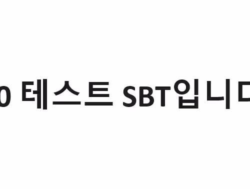 프로젝트 SBT