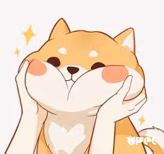 fi