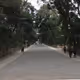 Zoloholo