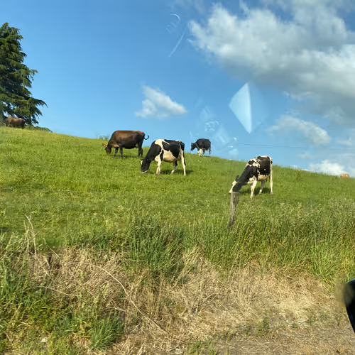 easyfun.lens-Collect-174