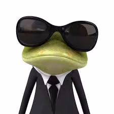 MRFrog