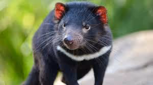 Item #53919893334301279589334030174039261347274288845081144962207220498433 Media