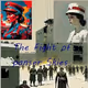 The Fight Of Panser Skyes