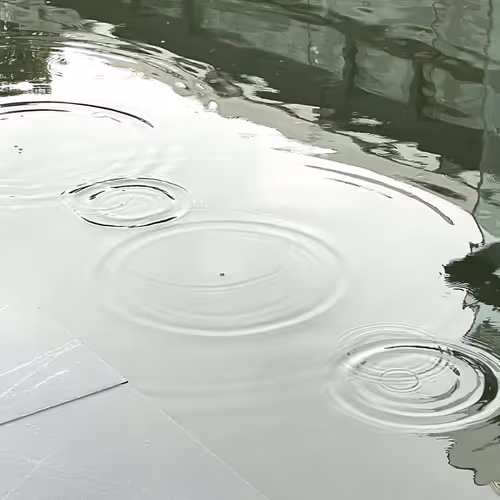 successus.lens-Collect-55