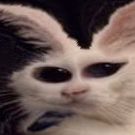 Collection by ayekii