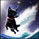Schipperke in space