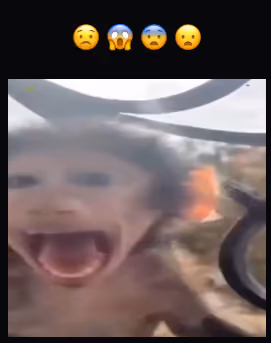 bibizyana