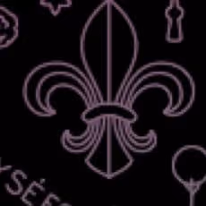 Collection by nofeetbird0321