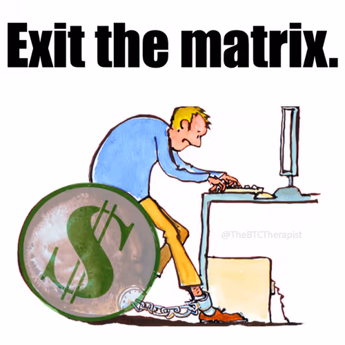 adani.lens-Collect-1108