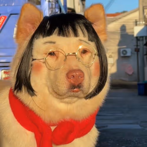Dog smile