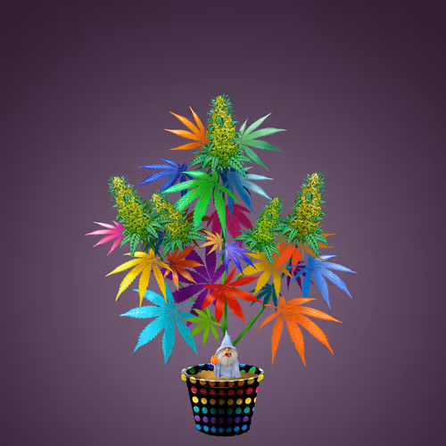 Item #107839786668602559178668060348078522694548577690162289924414440996865 Media