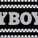 Assets S4 Partner Pass Playboy