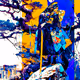 test 06211257