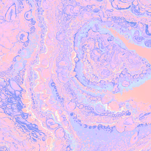 zospours.lens-Collect-2838