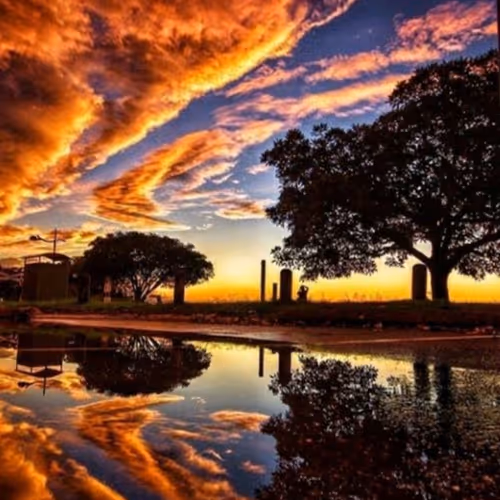 yishuihan.lens-Collect-141