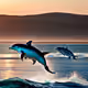 Sunrise Sea